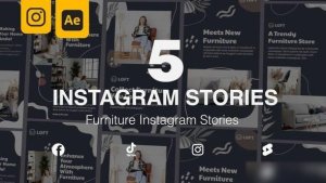 Videohive Furniture Real Estate Instagram Stories Openers template preview