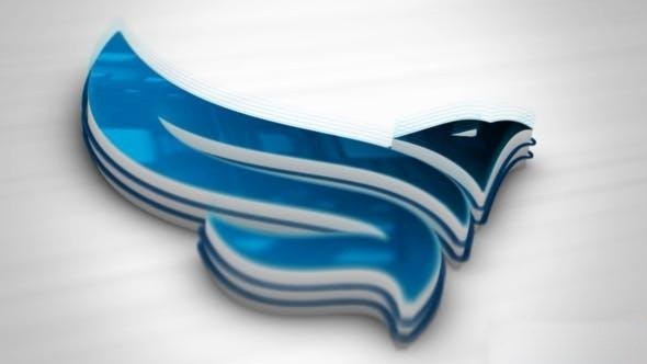 Videohive Broom Logo Reveal Logo Stings template preview