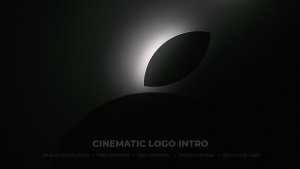 Videohive Logo Reveal 50764259 Logo Stings template preview