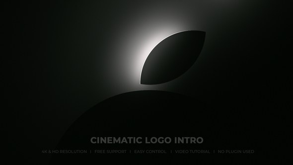 Videohive Logo Reveal 50764259 Logo Stings template preview