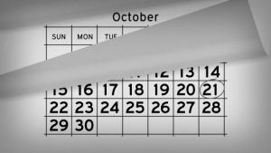 Videohive Calendar Timeline Promo Openers template preview