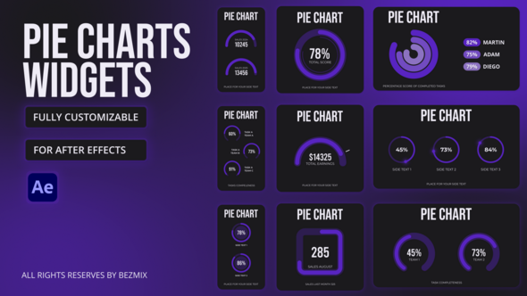 Videohive Pie Charts Widgets Infographics template preview
