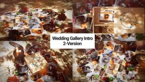 Videohive Wedding Gallery Intro Video Displays template preview