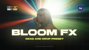 Videohive Bloom Overlay Elements template preview