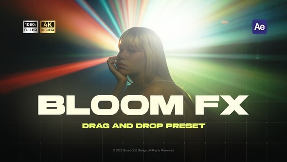 Videohive Bloom Overlay Elements template preview