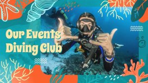 Videohive Diving Club Promo Slideshow Product Promo template preview