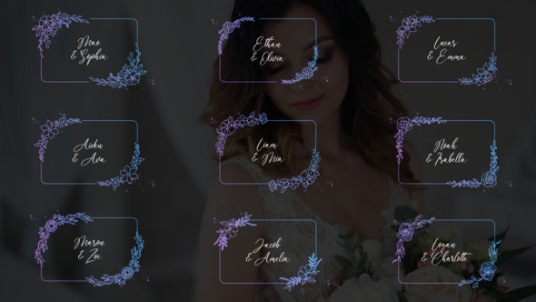 Videohive Wedding Titles - Rectangular Frames Titles template preview
