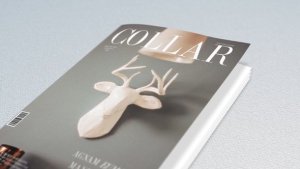 Book and Magazine Promo Video Displays template preview