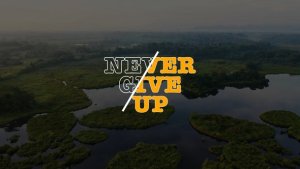 Videohive Typography Titles | AE 47247567 Titles template preview