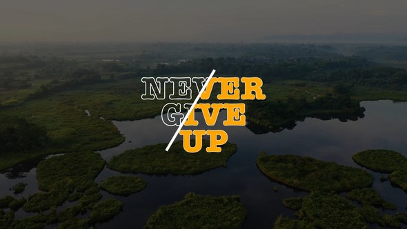 Videohive Typography Titles | AE 47247567 Titles template preview