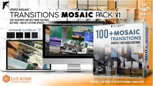 Transitions Mosiac Pack - Toolkit Video Displays template preview