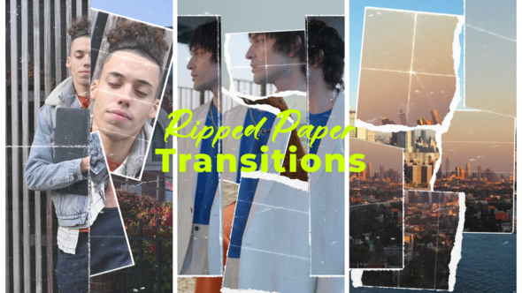 Videohive Vertical Ripped Paper Transitions 58638905 Elements template preview
