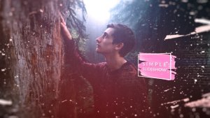 Simple Slideshow Video Displays template preview