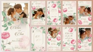 Videohive Wedding Invitation Instagram Reels Stories Video Displays template preview