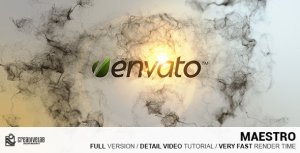 Videohive Maestro Logo Stings template preview