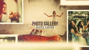 Videohive Photo Gallery 46761600 Video Displays template preview