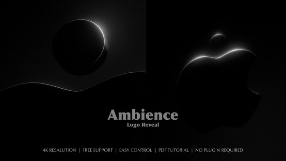 Videohive Ambience Logo Reveal Logo Stings template preview