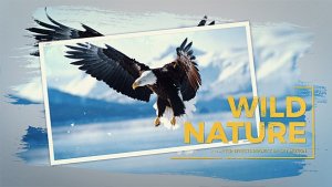Videohive Wild Nature Slideshow 20080773 Video Displays template preview