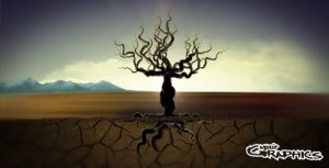 Tree Of Life Video Displays template preview