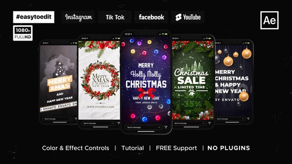 Christmas Instagram Stories Video Displays template preview