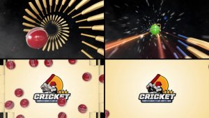 Videohive Cricket Logo Reveal Logo Stings template preview