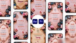 Videohive Indian Wedding Instagram Story Template Elements template preview
