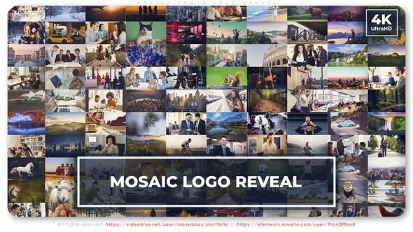 Videohive Mosaic Photo Logo Reveal 49459871 Logo Stings template preview