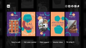 Videohive Wedding Instagram Reels 48802381 Product Promo template preview