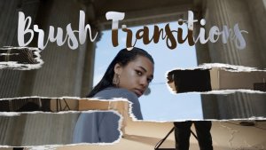 Videohive Brush Transitions 58809766 Elements template preview