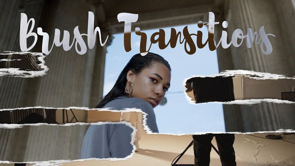 Videohive Brush Transitions 58809766 Elements template preview