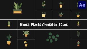 Videohive House Plants Animated Icons for After Effects Elements template preview