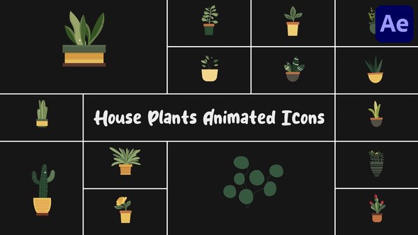 Videohive House Plants Animated Icons for After Effects Elements template preview