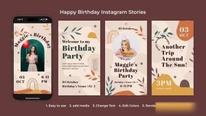 Videohive Happy Birthday Instagram Stories 54502026 Video Displays template preview