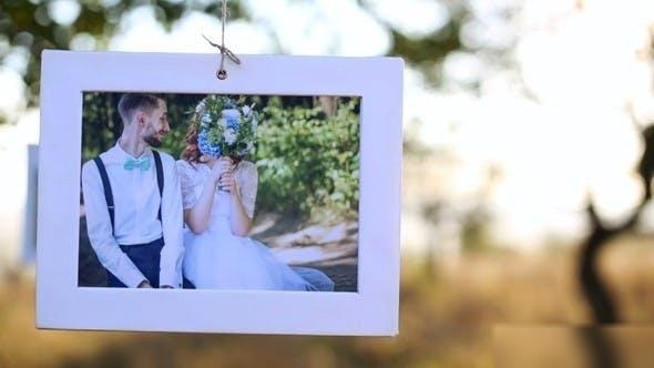 Videohive Sunny Orchard - Photo Gallery Video Displays template preview