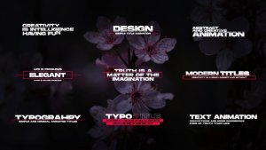 Videohive Text Animation | After Effects 52769685 Titles template preview