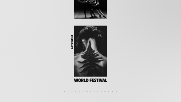 Videohive Black&White Mood Openers template preview