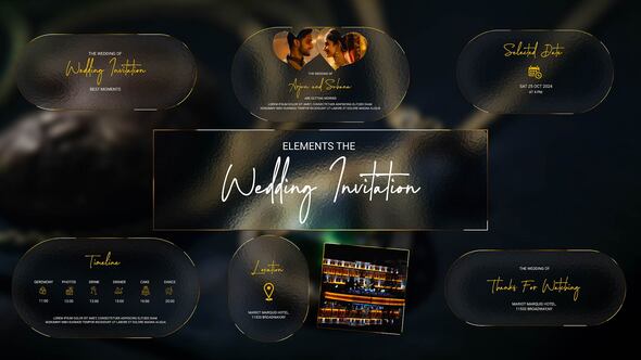 Videohive Wedding Invitation Elemets | Indian Wedding Elements template preview