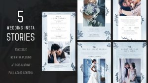 Videohive Wedding Instagram Stories 50871912 Product Promo template preview