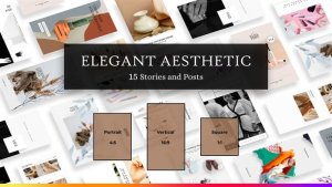 Videohive Elegant Aesthetic Instagram Stories and Posts Broadcast-packages template preview