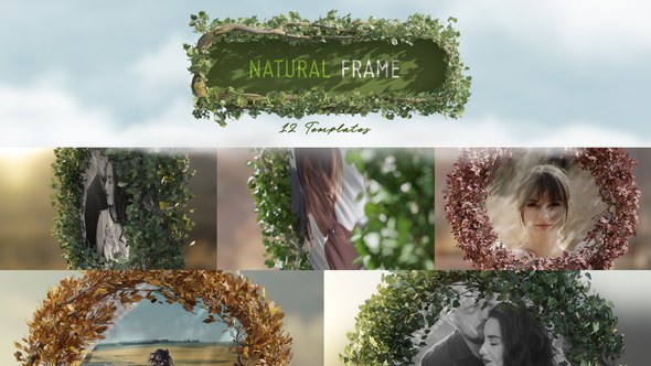 Videohive Natural Frame Video Displays template preview