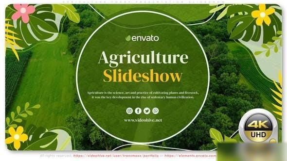 Videohive Agriculture Today Presentation Slideshow Openers template preview