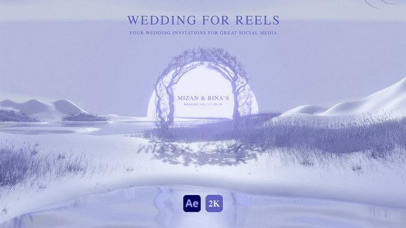 Videohive Wedding Invitation for Instagram Reels 51508657 Elements template preview