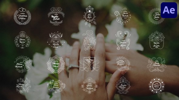 Videohive Wedding Titles for After Effects 56244373 Titles template preview