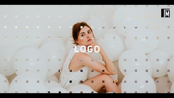 Videohive Dynamic Stomp Logo Openers template preview