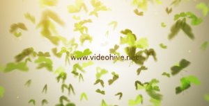 Butterfly Logo - After Effects Project (Videohive) Logo Stings template preview