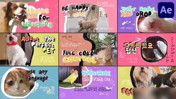 Videohive Pets Slides | After Effects Openers template preview