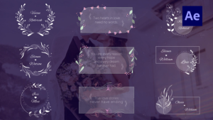Videohive 18 Wedding Titles Titles template preview