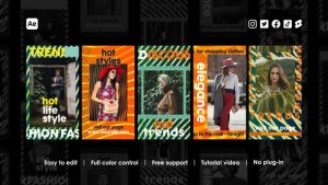 Videohive Shopping Instagram Reels 43167563 Product Promo template preview