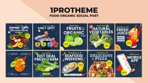 Videohive Food Organic Instagram Post V10 Product Promo template preview