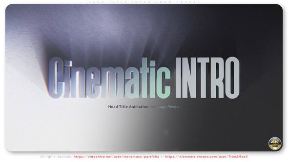 Videohive Head Title Intro - Logo Reveal Logo Stings template preview